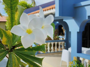Blue Bonaire Resort nr. 5, modern en stijlvol!